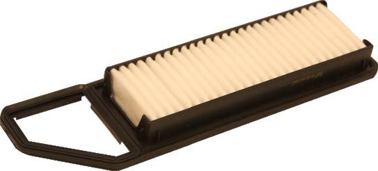 FUEL FILTER (PETROL)