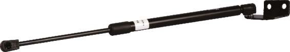 GAS SPRING – RH